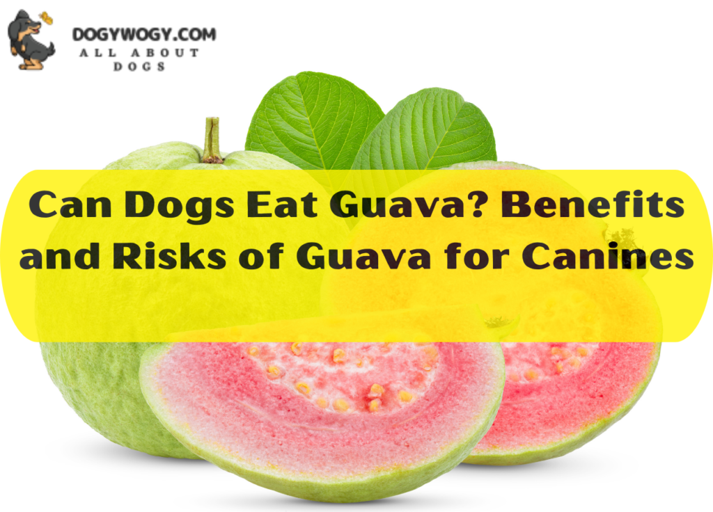 Can dogs Eat guava
