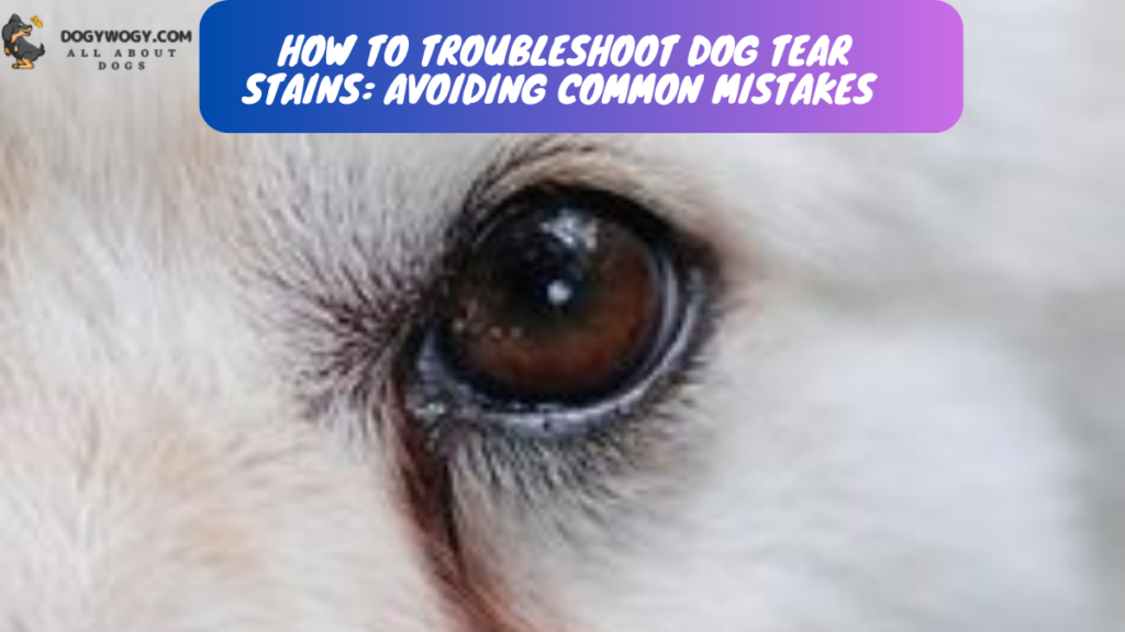 Dog Tear Stains