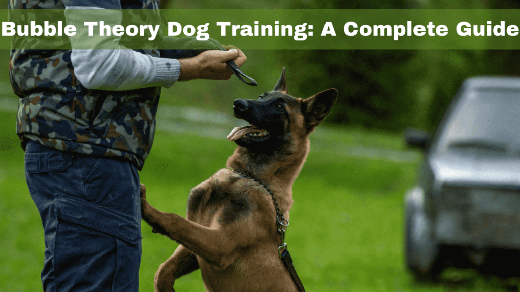 Bubble theory dog training